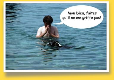 Cliquez pour agrandir l'image Cliquez pour agrandir l'image