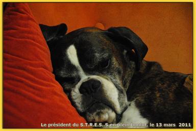 Cliquez pour agrandir l'image Cliquez pour agrandir l'image