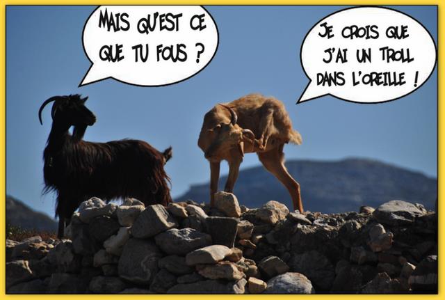 Cliquez pour agrandir l'image Cliquez pour agrandir l'image