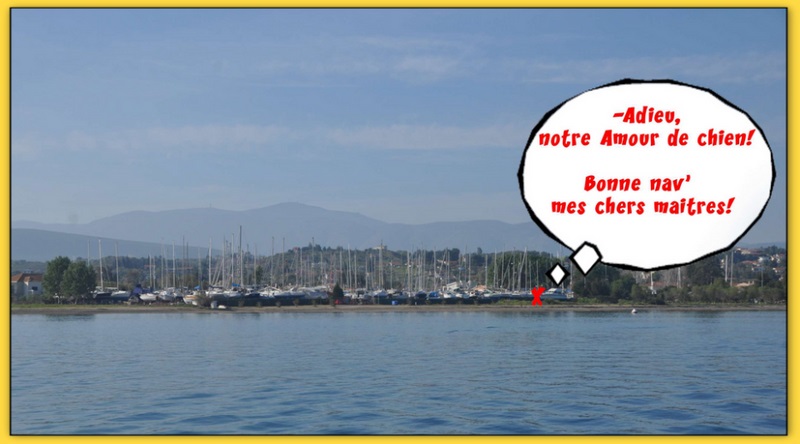 Cliquez pour agrandir l'image Cliquez pour agrandir l'image