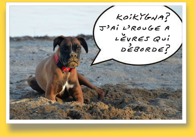 ACCUEIL