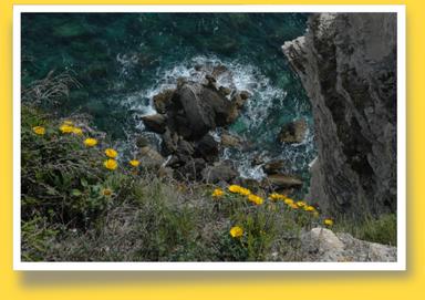 Cliquez pour agrandir l'image Cliquez pour agrandir l'image