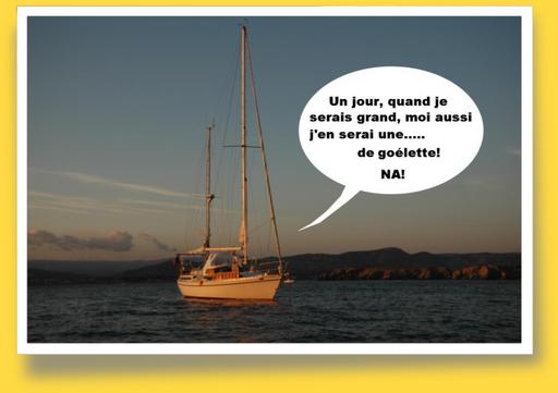Cliquez pour agrandir l'image Cliquez pour agrandir l'image